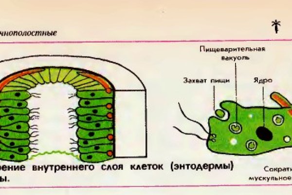 Кракен at сегодня работает ли