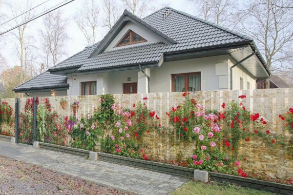 Что с кракеном сегодня сайт
