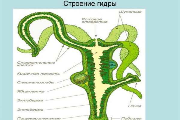 Наркошоп кракен