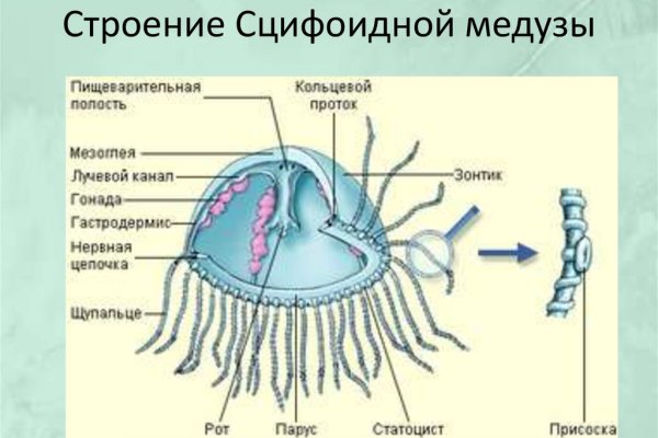 Не могу зайти на кракен