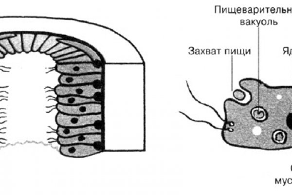 Кракен открылся