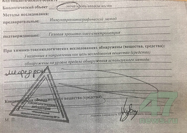 Магазин кракен как попасть